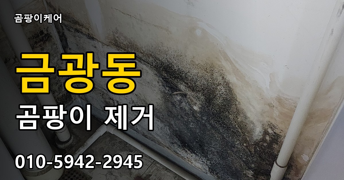 금광동 곰팡이 제거 - 곰팡이케어 실제 시공 현장