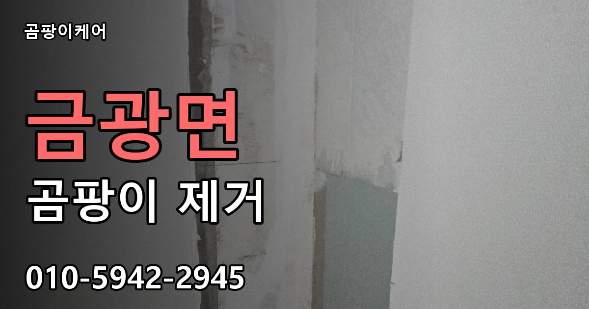 금광면 곰팡이 제거 - 곰팡이케어 실제 시공 현장