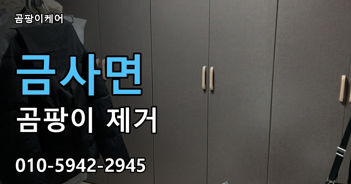 금사면 곰팡이 제거 - 곰팡이케어 실제 시공 현장