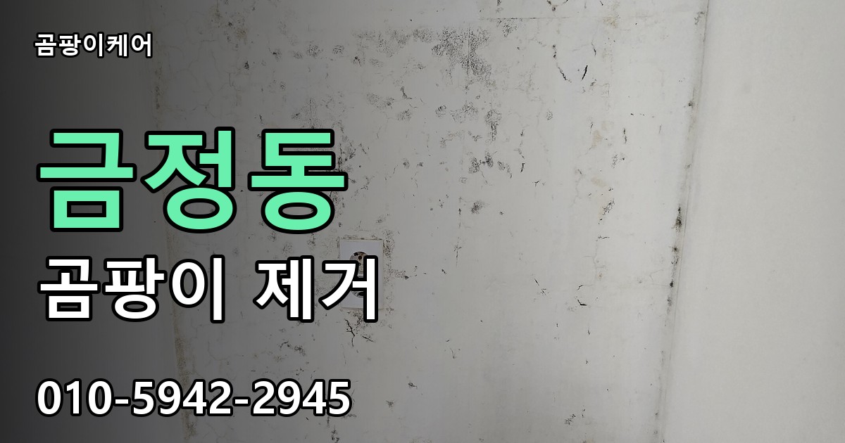 금정동 곰팡이 제거 - 곰팡이케어 실제 시공 현장