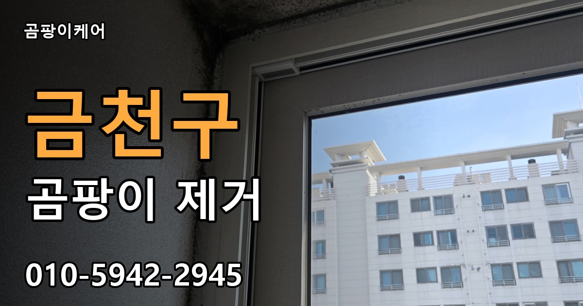 금천구 곰팡이 제거 - 곰팡이케어 실제 시공 현장