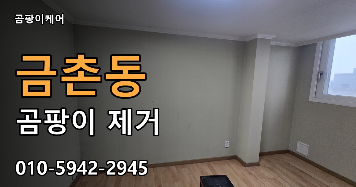 금촌동 곰팡이 제거 - 곰팡이케어 실제 시공 현장