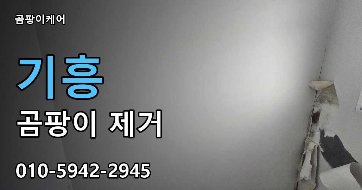 기흥 곰팡이 제거 - 곰팡이케어 실제 시공 현장