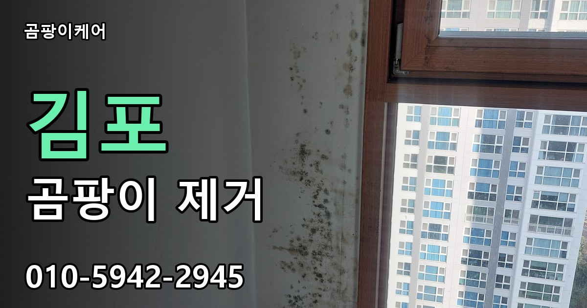 김포 곰팡이 제거 - 곰팡이케어 실제 시공 현장