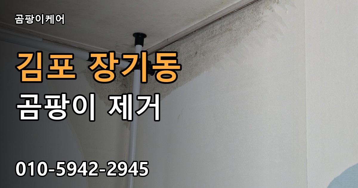 김포 장기동 곰팡이 제거 - 곰팡이케어 실제 시공 현장