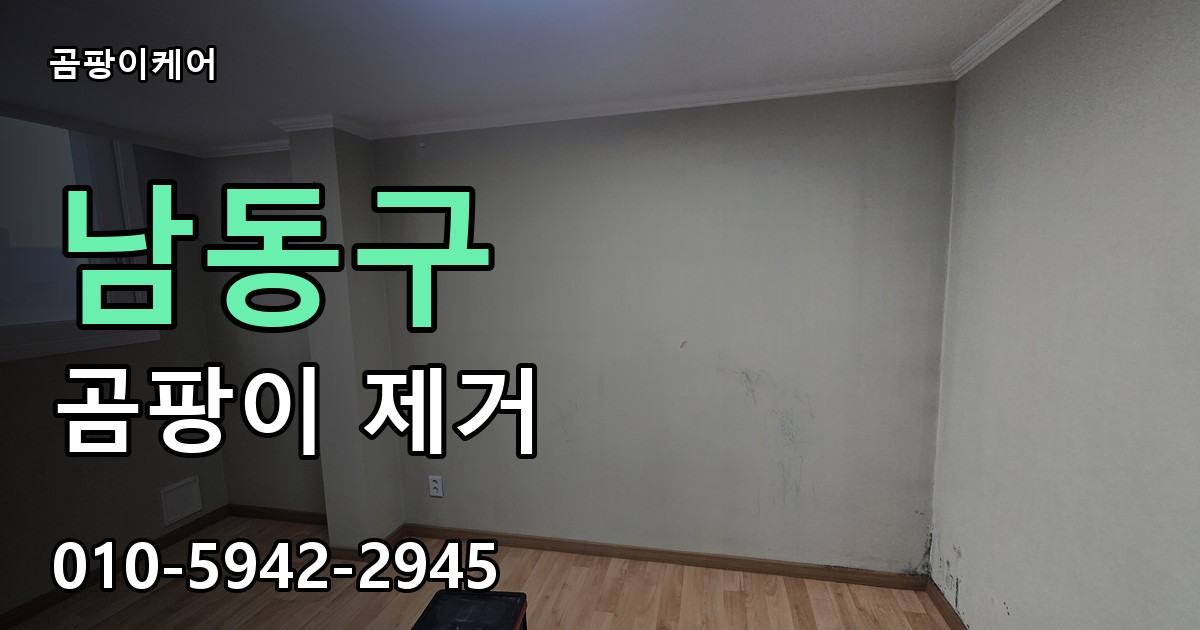 남동구 곰팡이 제거 - 곰팡이케어 실제 시공 현장