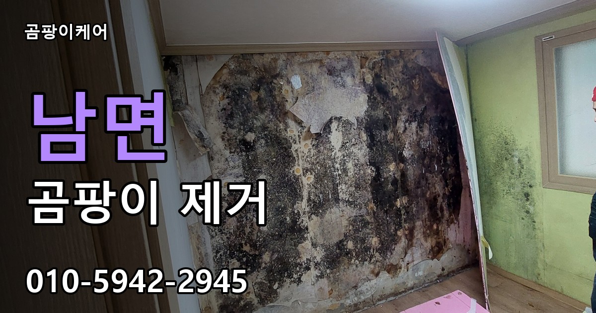 남면 곰팡이 제거 - 곰팡이케어 실제 시공 현장
