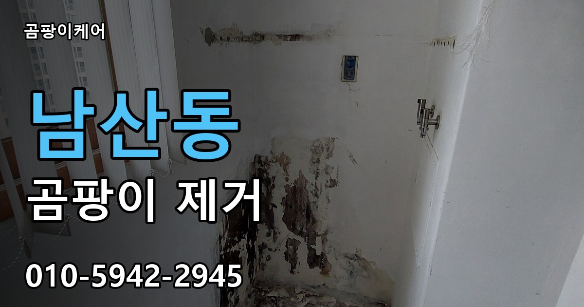 남산동 곰팡이 제거 - 곰팡이케어 실제 시공 현장