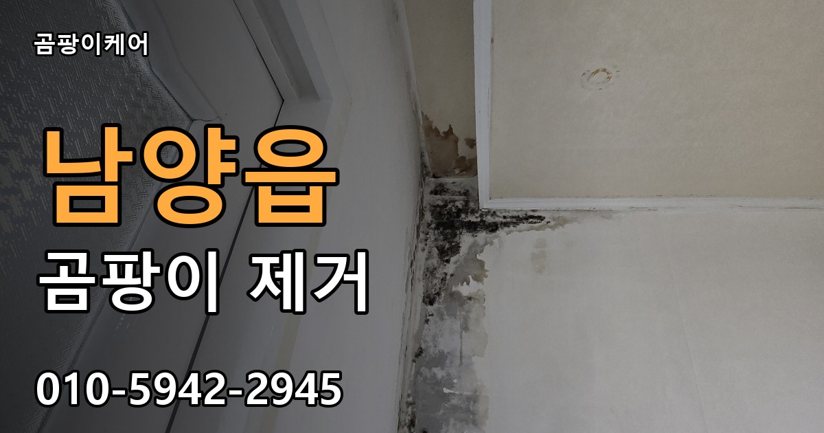 남양읍 곰팡이 제거 - 곰팡이케어 실제 시공 현장