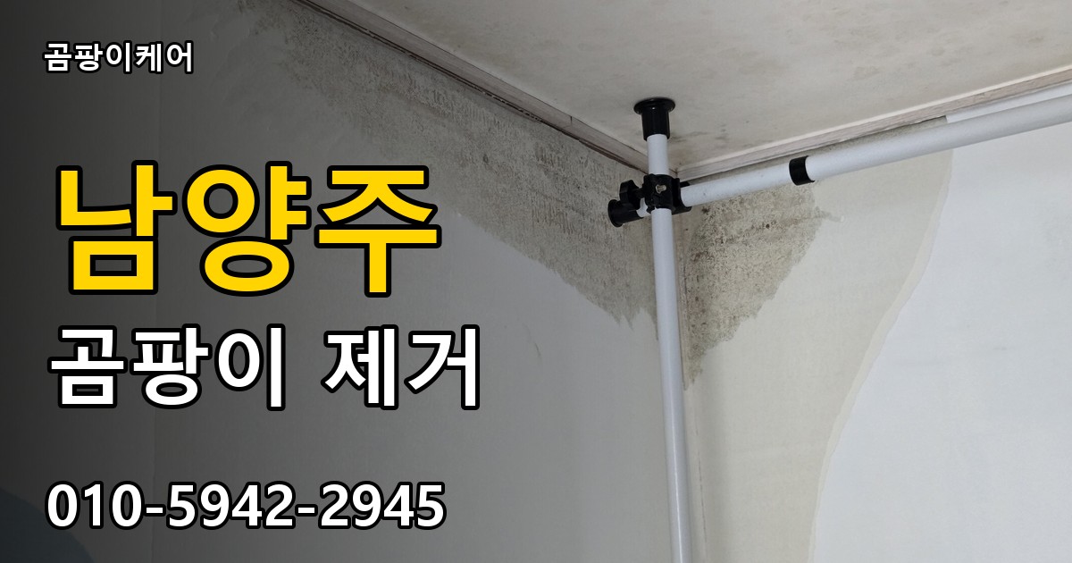남양주 곰팡이 제거 - 곰팡이케어 실제 시공 현장