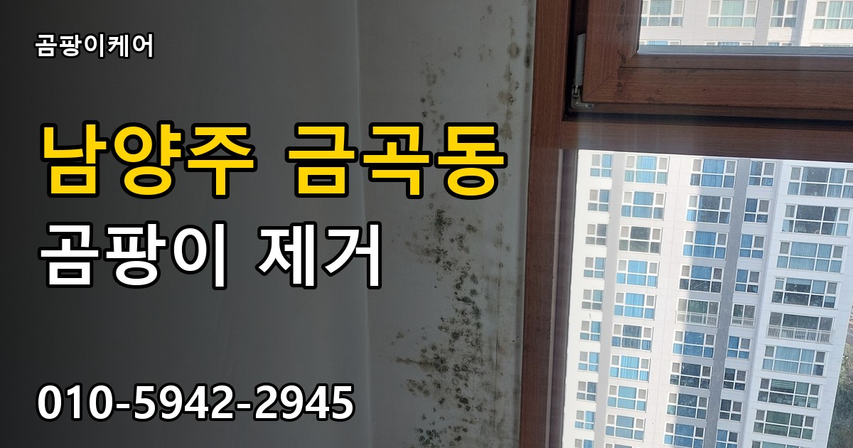 남양주 금곡동 곰팡이 제거 - 곰팡이케어 실제 시공 현장