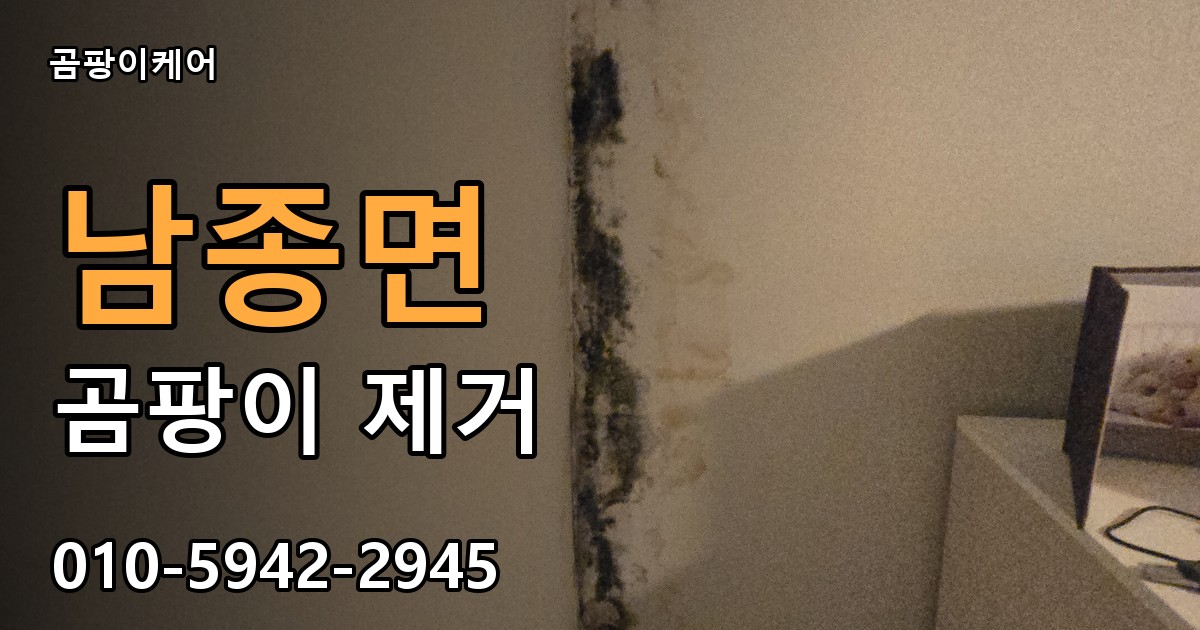 남종면 곰팡이 제거 - 곰팡이케어 실제 시공 현장