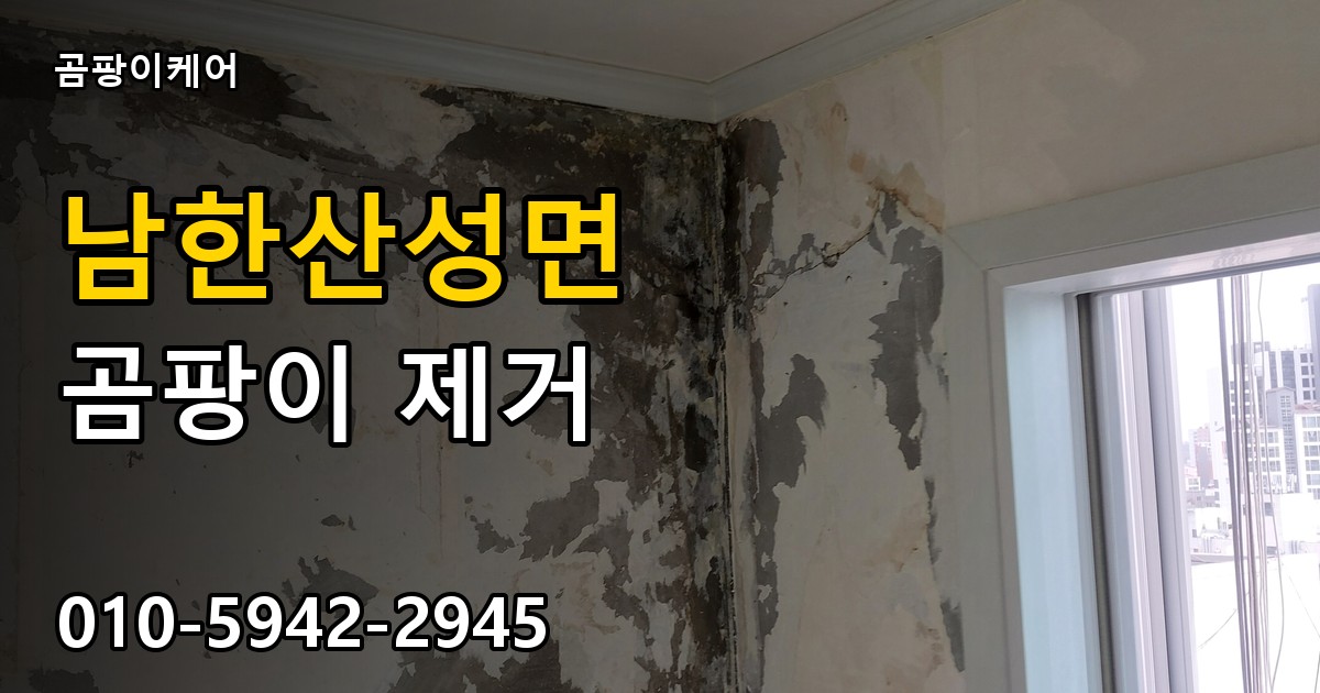 남한산성면 곰팡이 제거 - 곰팡이케어 실제 시공 현장