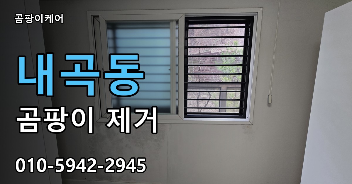 내곡동 곰팡이 제거 - 곰팡이케어 실제 시공 현장