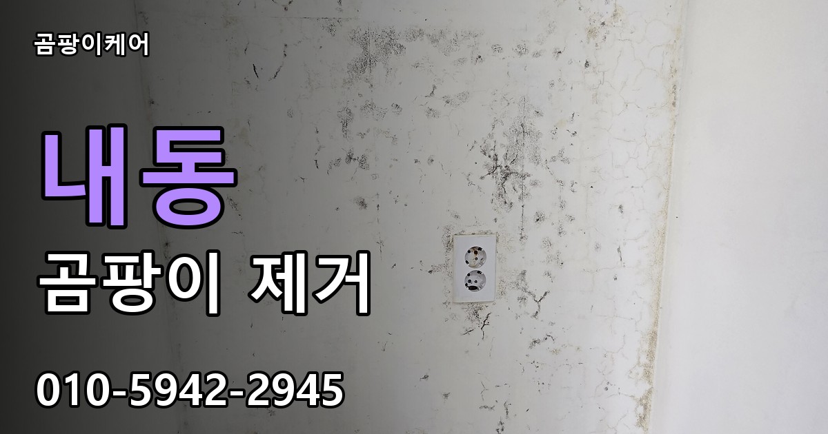 내동 곰팡이 제거 - 곰팡이케어 실제 시공 현장