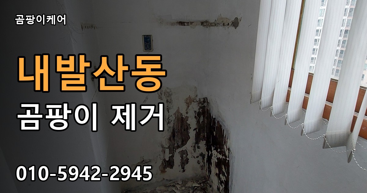 내발산동 곰팡이 제거 - 곰팡이케어 실제 시공 현장