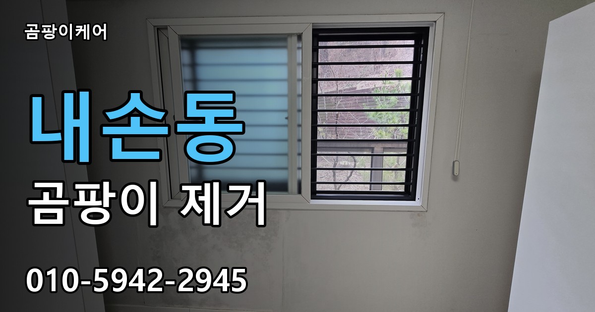 내손동 곰팡이 제거 - 곰팡이케어 실제 시공 현장