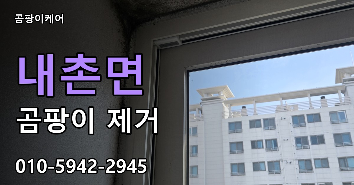 내촌면 곰팡이 제거 - 곰팡이케어 실제 시공 현장