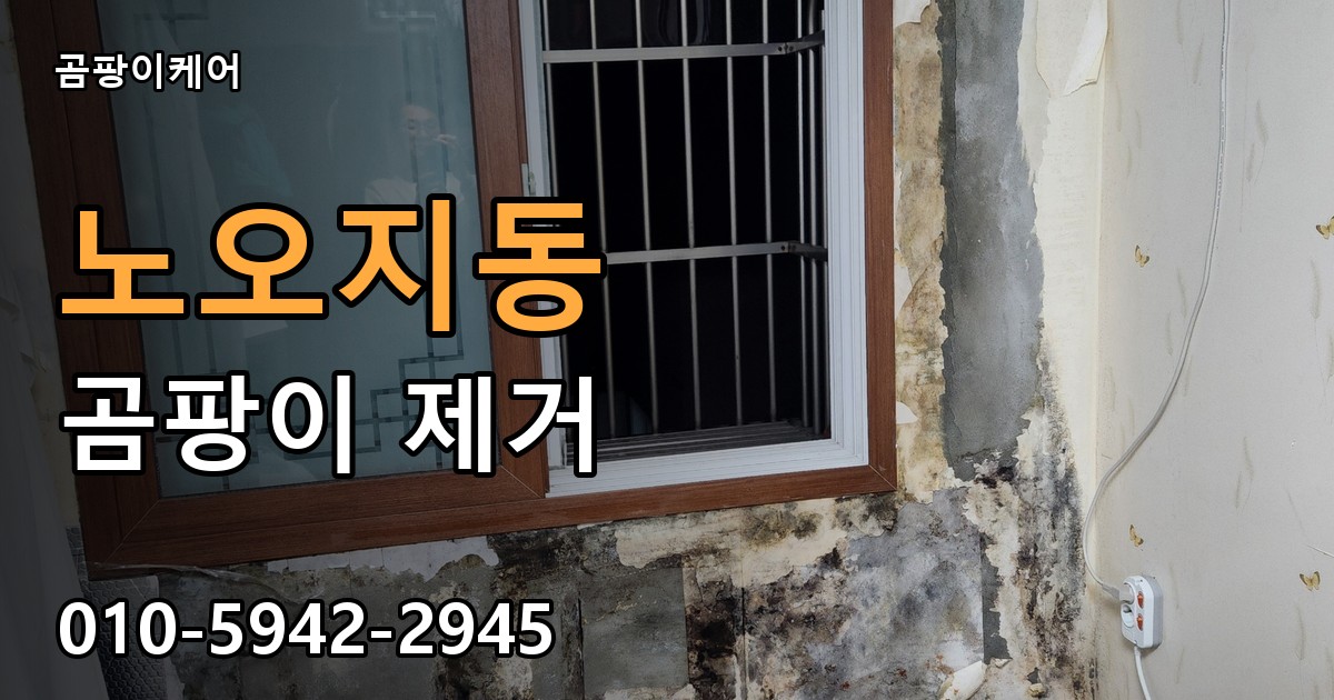 노오지동 곰팡이 제거 - 곰팡이케어 실제 시공 현장