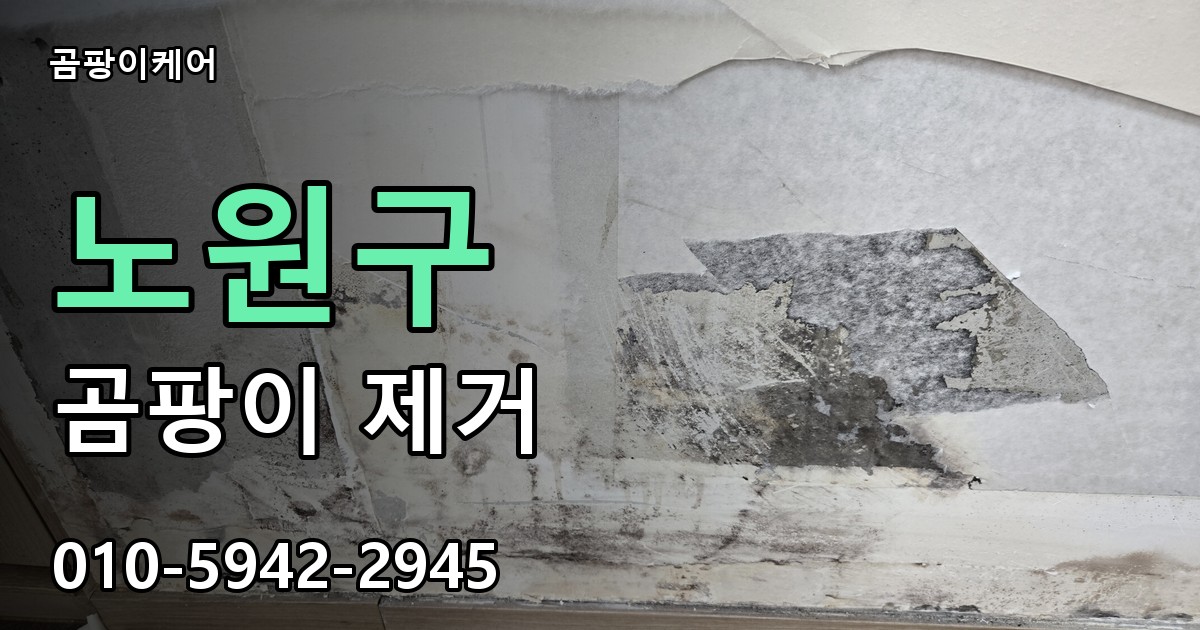 노원구 곰팡이 제거 - 곰팡이케어 실제 시공 현장