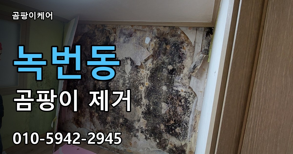 녹번동 곰팡이 제거 - 곰팡이케어 실제 시공 현장