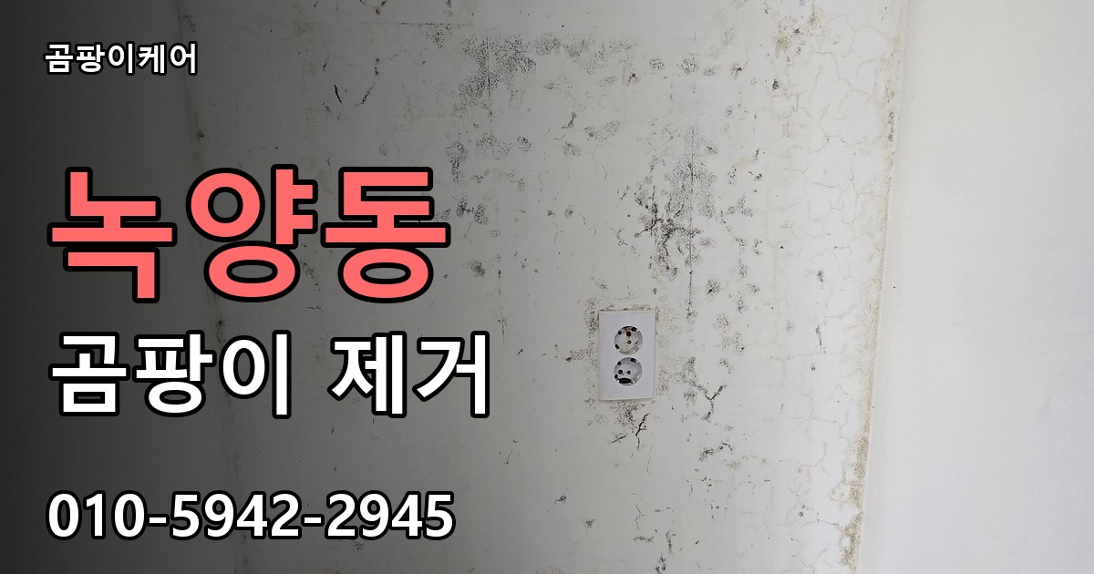 녹양동 곰팡이 제거 - 곰팡이케어 실제 시공 현장