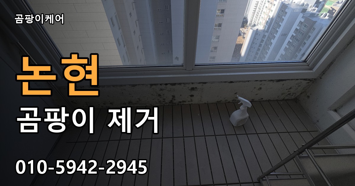 논현 곰팡이 제거 - 곰팡이케어 실제 시공 현장