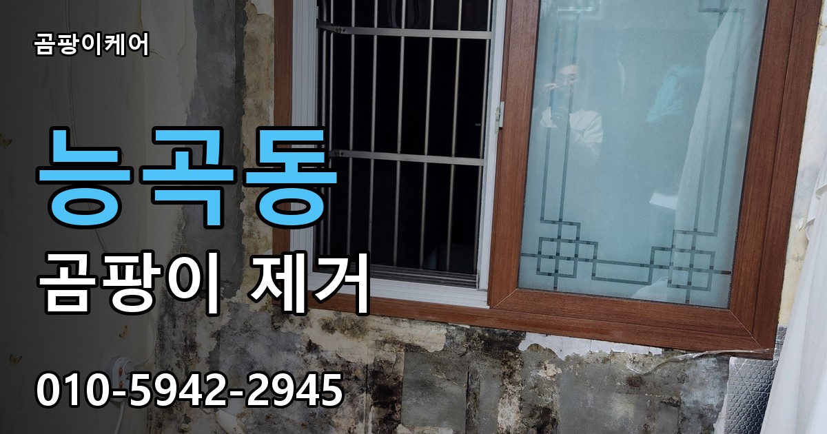 능곡동 곰팡이 제거 - 곰팡이케어 실제 시공 현장