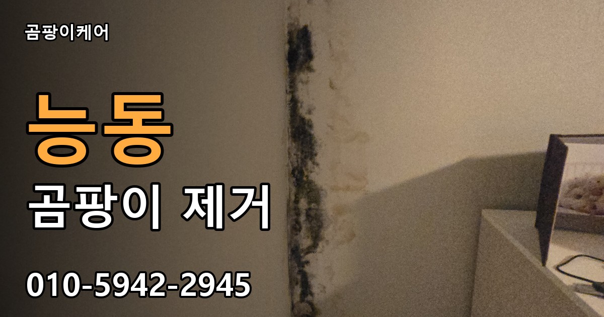 능동 곰팡이 제거 - 곰팡이케어 실제 시공 현장