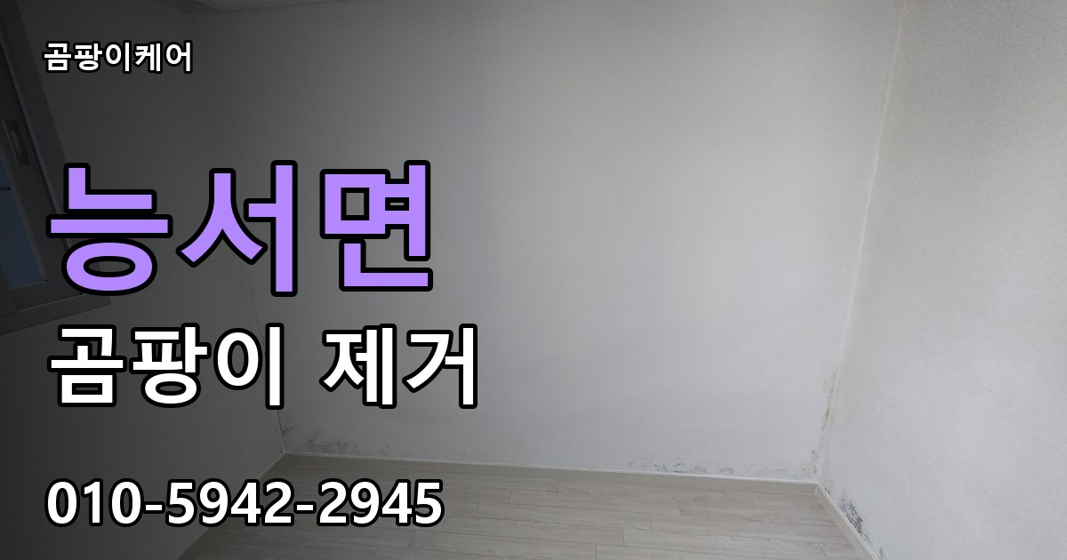 능서면 곰팡이 제거 - 곰팡이케어 실제 시공 현장