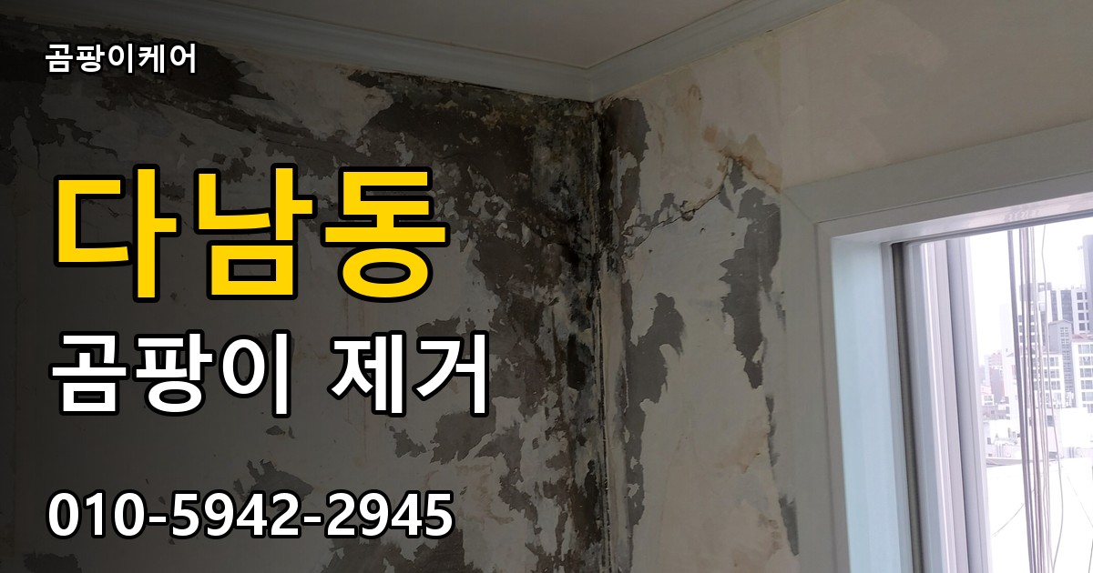 다남동 곰팡이 제거 - 곰팡이케어 실제 시공 현장