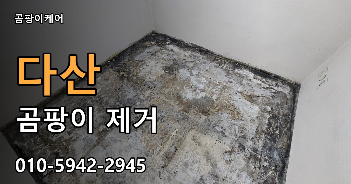 다산 곰팡이 제거 - 곰팡이케어 실제 시공 현장
