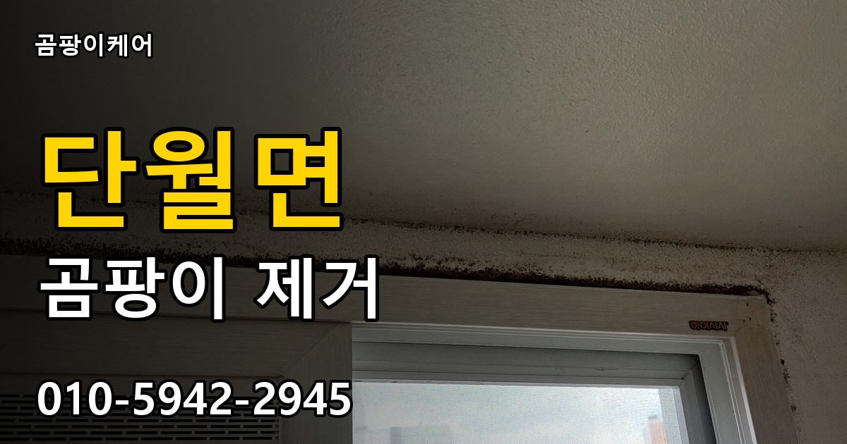 단월면 곰팡이 제거 - 곰팡이케어 실제 시공 현장