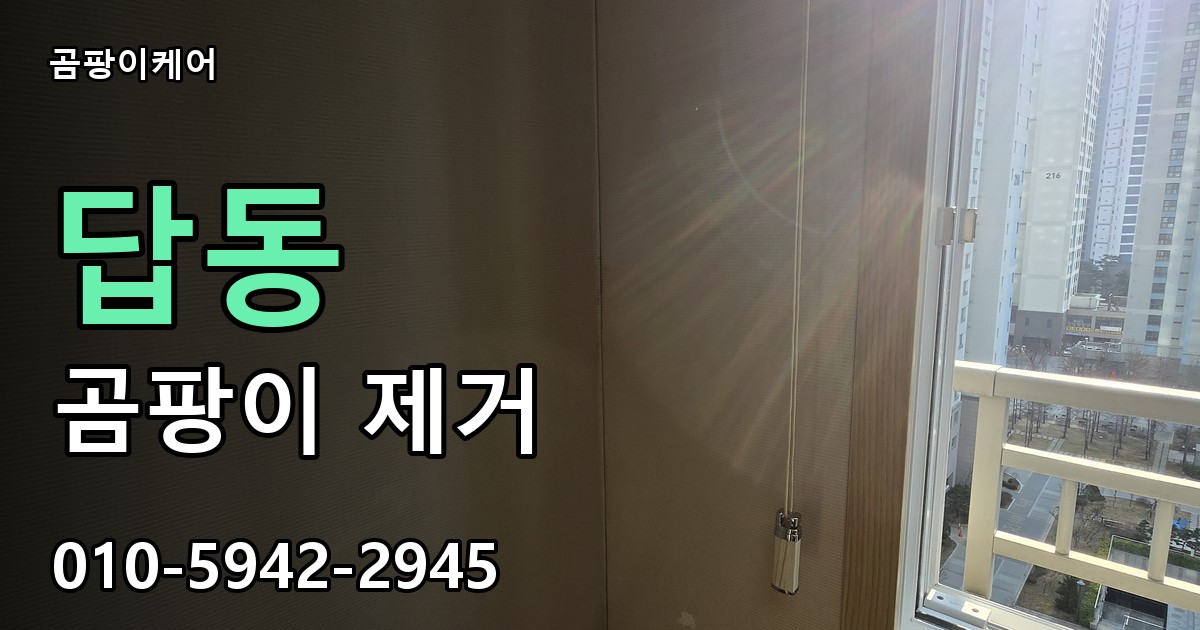 답동 곰팡이 제거 - 곰팡이케어 실제 시공 현장