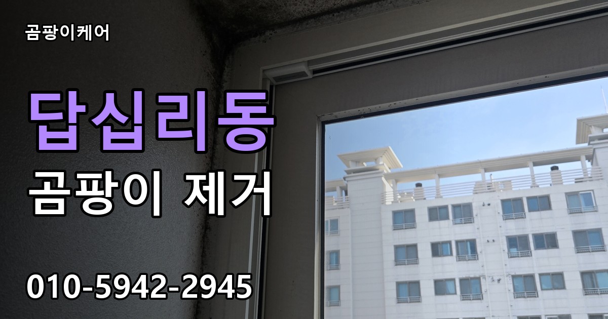 답십리동 곰팡이 제거 - 곰팡이케어 실제 시공 현장