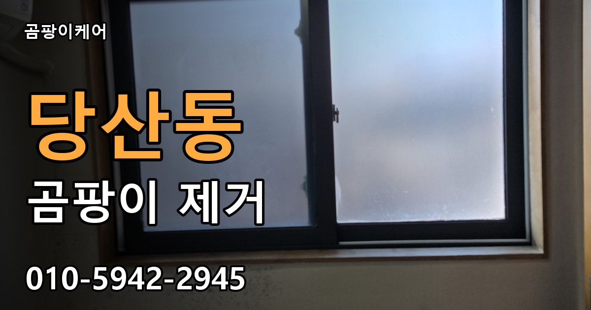 당산동 곰팡이 제거 - 곰팡이케어 실제 시공 현장