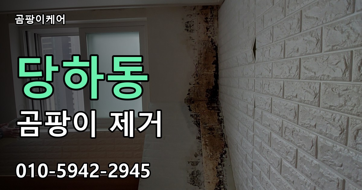 당하동 곰팡이 제거 - 곰팡이케어 실제 시공 현장