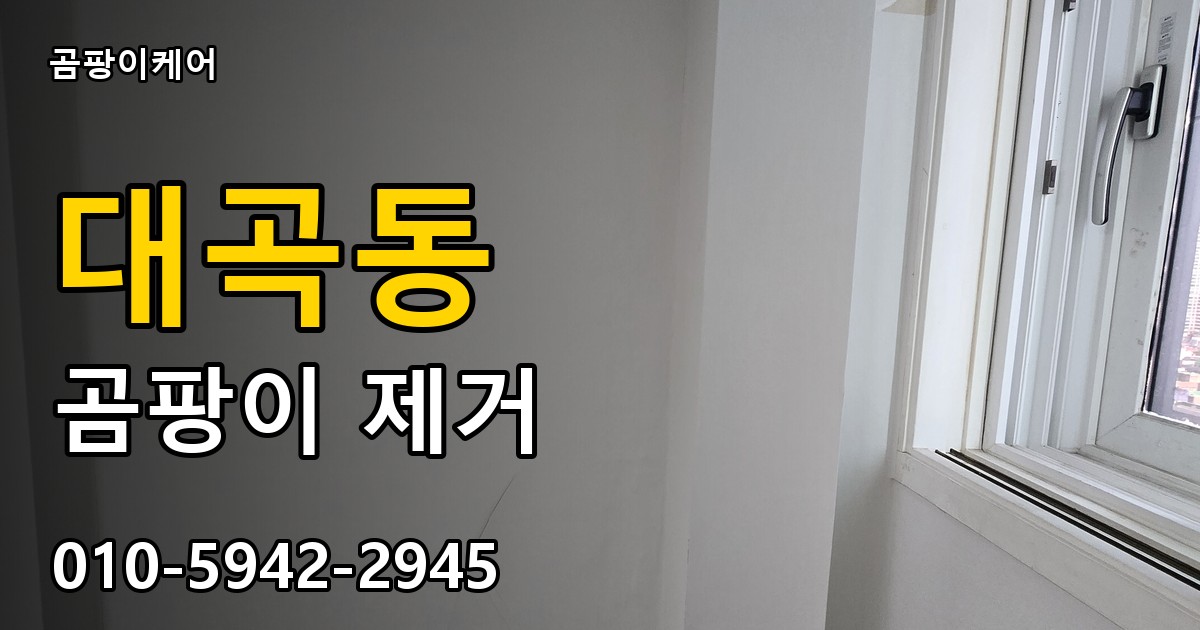 대곡동 곰팡이 제거 - 곰팡이케어 실제 시공 현장