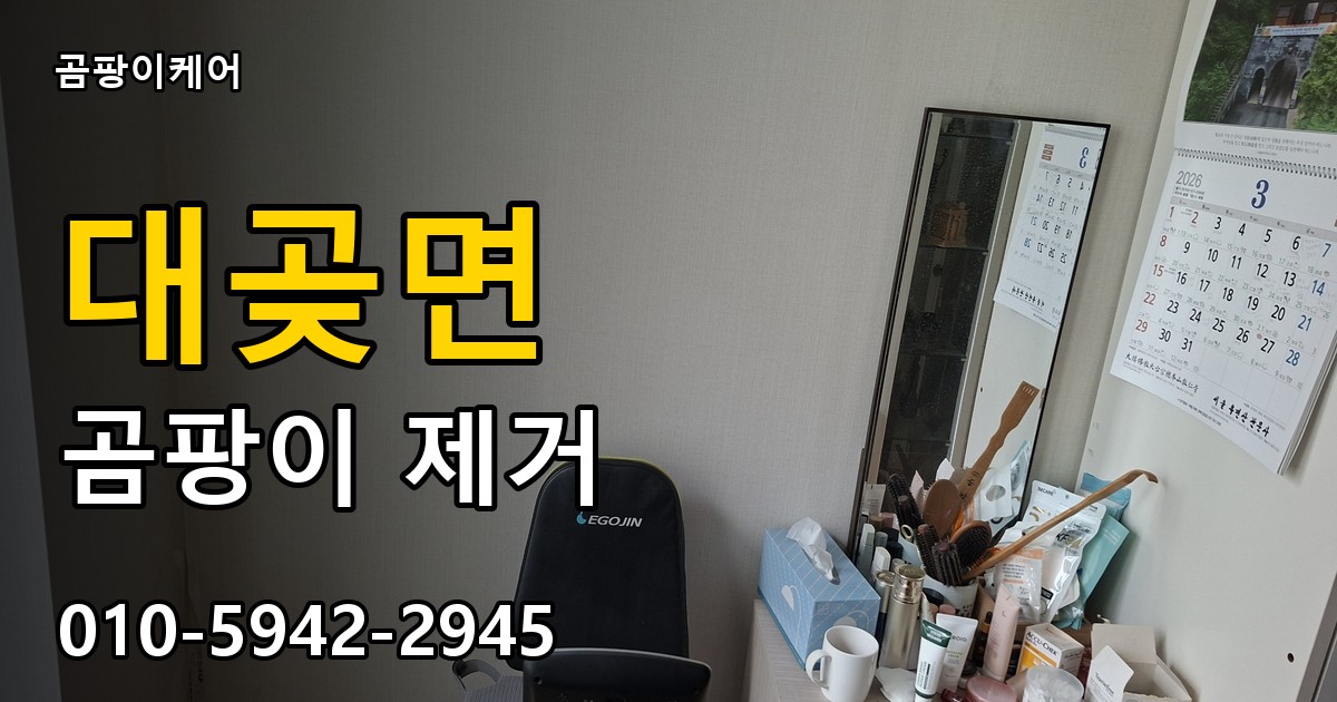대곶면 곰팡이 제거 - 곰팡이케어 실제 시공 현장