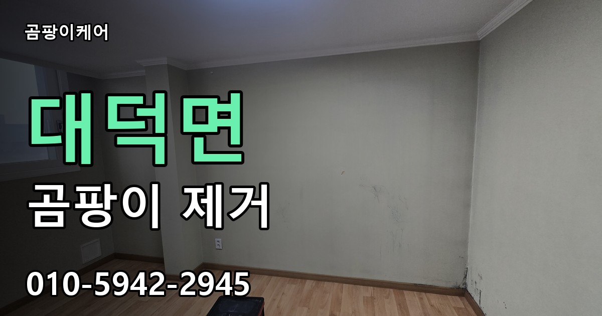 대덕면 곰팡이 제거 - 곰팡이케어 실제 시공 현장