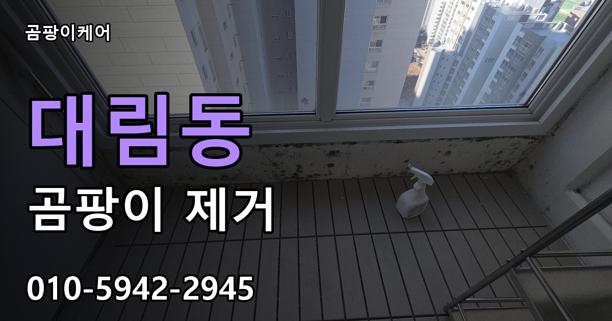 대림동 곰팡이 제거 - 곰팡이케어 실제 시공 현장