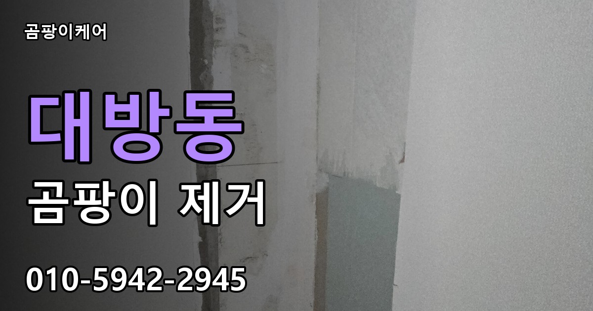 대방동 곰팡이 제거 - 곰팡이케어 실제 시공 현장