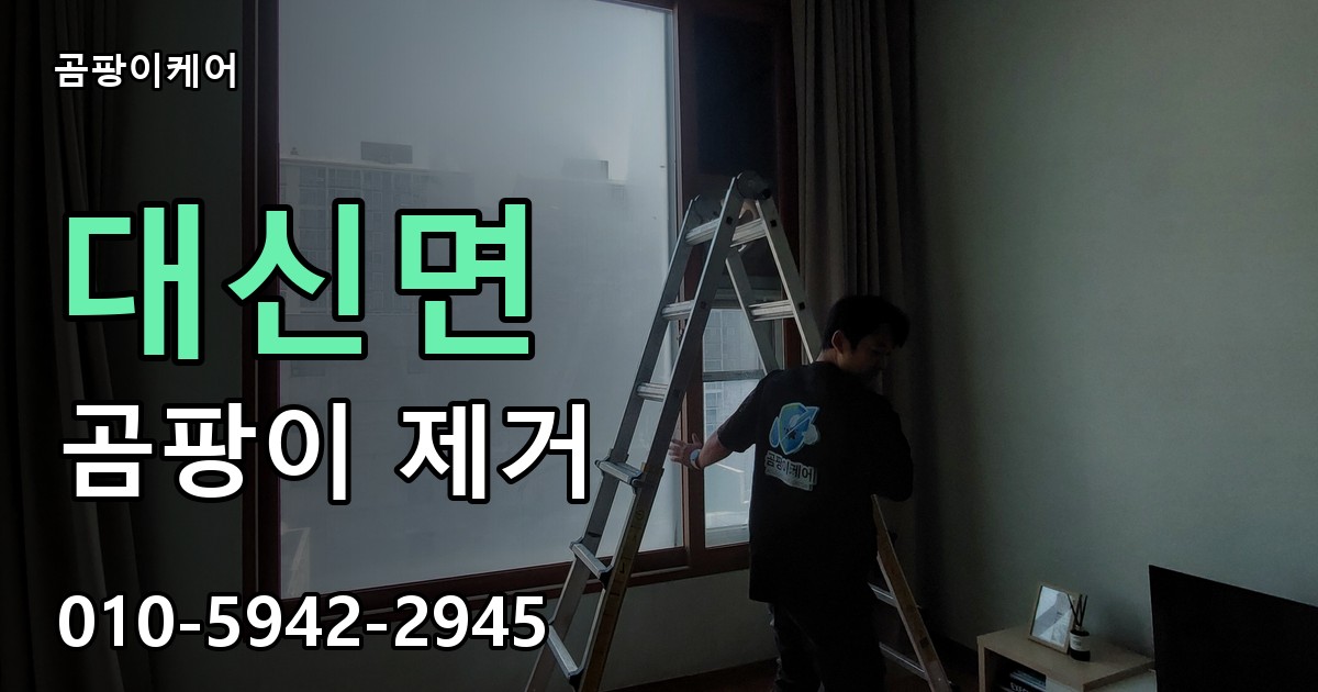 대신면 곰팡이 제거 - 곰팡이케어 실제 시공 현장