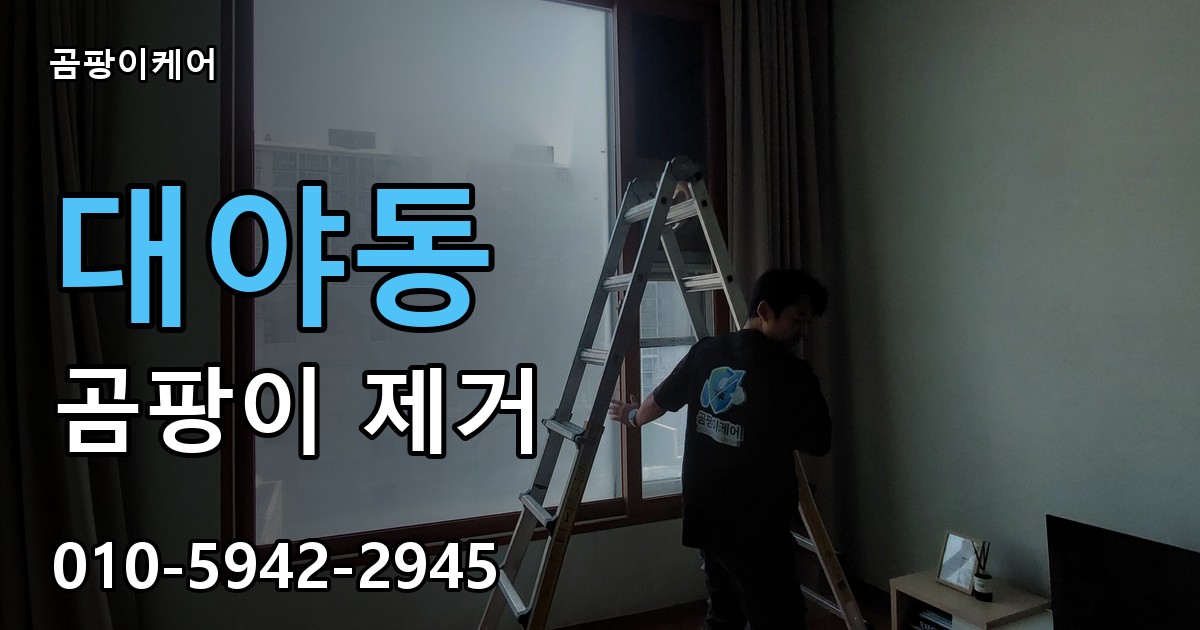대야동 곰팡이 제거 - 곰팡이케어 실제 시공 현장