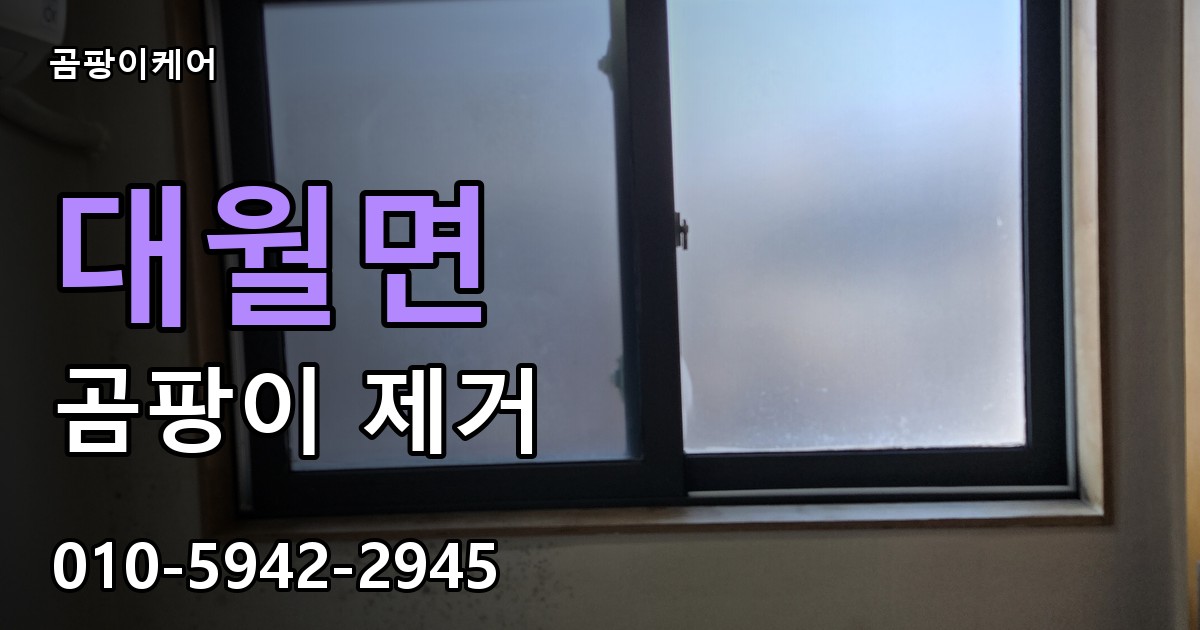 대월면 곰팡이 제거 - 곰팡이케어 실제 시공 현장