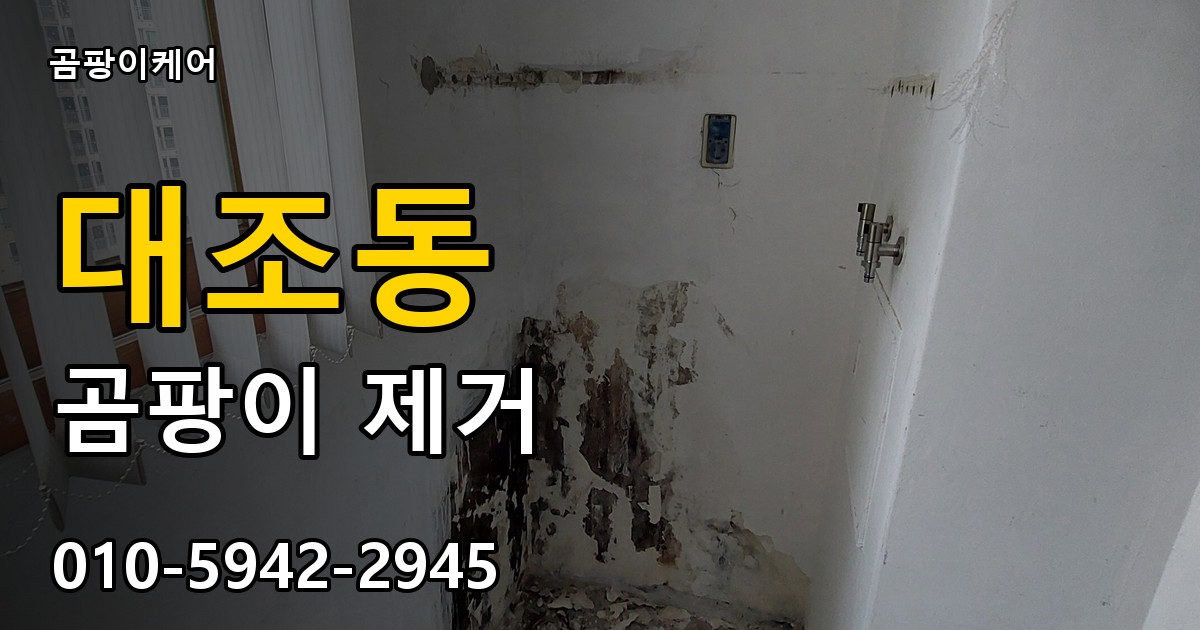 대조동 곰팡이 제거 - 곰팡이케어 실제 시공 현장