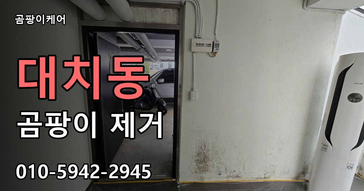 대치동 곰팡이 제거 - 곰팡이케어 실제 시공 현장