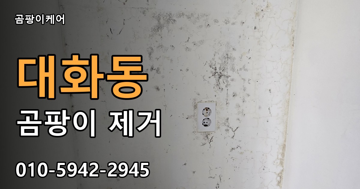 대화동 곰팡이 제거 - 곰팡이케어 실제 시공 현장