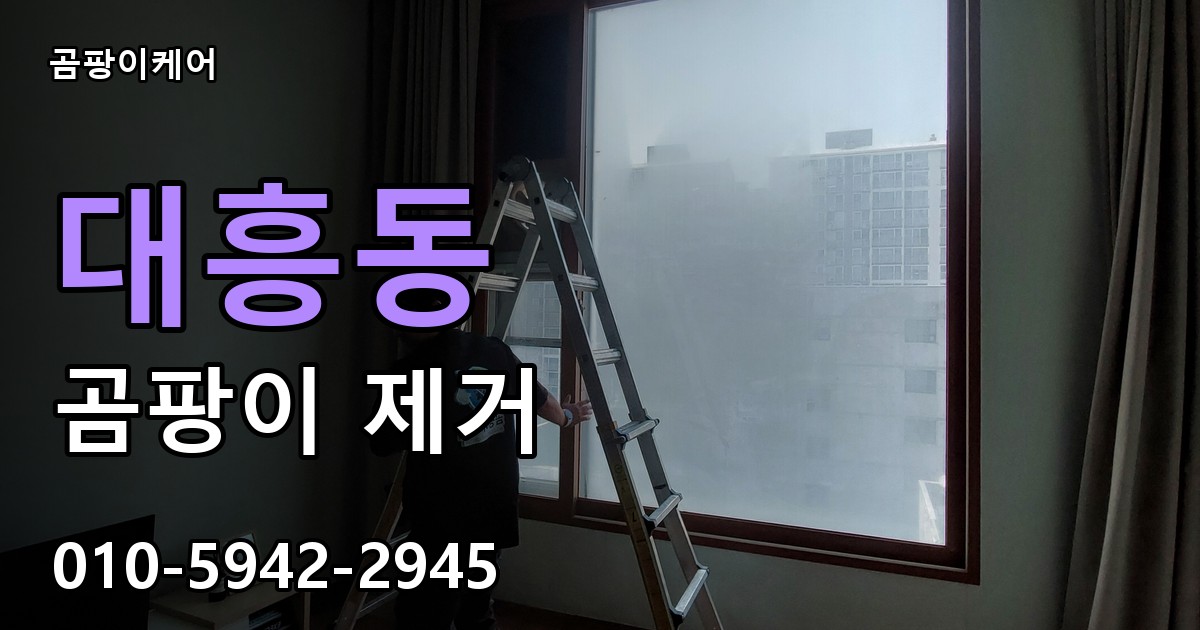 대흥동 곰팡이 제거 - 곰팡이케어 실제 시공 현장