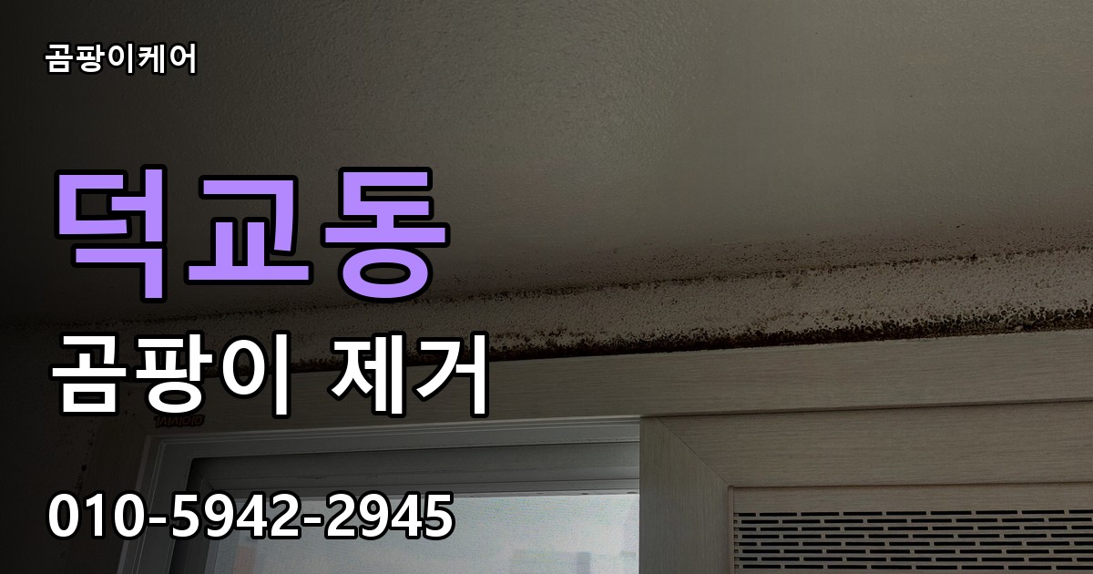 덕교동 곰팡이 제거 - 곰팡이케어 실제 시공 현장